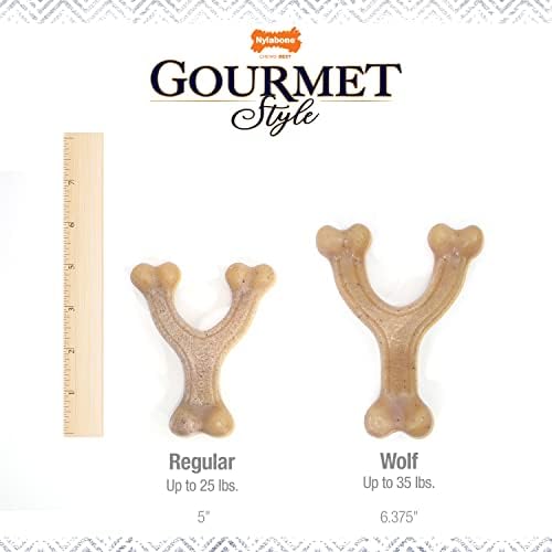 Nylabone Strong Chew Gourmet Style Wishbone Dog Chew Toy, Chicken Flavor