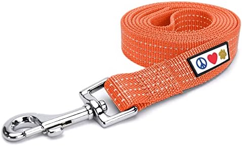 Pawtitas Orange Dog Leash 6 ft XS/S Reflective Durable Lightweight Dog Lead for Small Dogs and Puppies