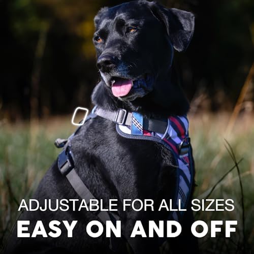Embark No Pull Dog Harness, Reflective Adjustable Training Vest, No Choke