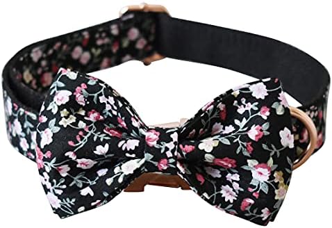 Custom Dog Collar with Names and Phone Number Engraved, Puppy Tags Personalized for Small Medium Large Pets