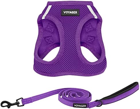 Best Pet Supplies Voyager Step-in Air All Weather Mesh Harness and Reflective Dog 5ft Leash Combo with Neoprene Handle, for Small, Medium and Large Breed Puppies - Purple, Small
