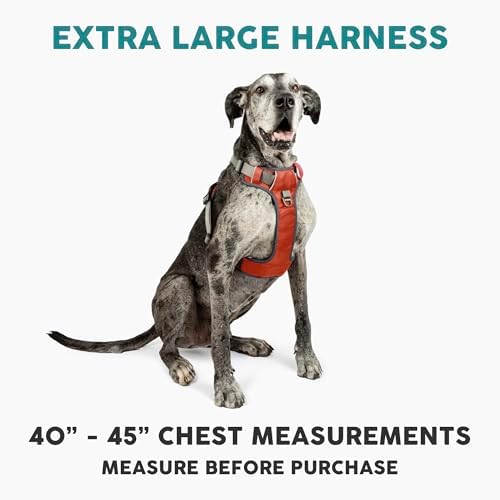 Embark No Pull Dog Harness, Reflective Adjustable Training Vest, No Choke