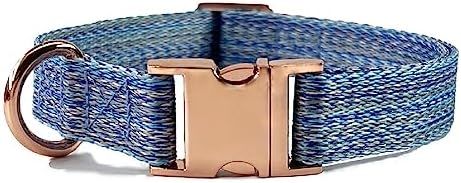 Dog Collar with Metal Buckle for Small Medium Large Dog, Heavy Duty Nylon Dog Collar (Small, Blue)