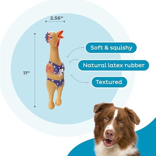 Outward Hound by Charming Pet Squawkers Henrietta Latex Squeaky Rubber Chicken Dog Toy, Funny Interactive Holiday Toy for Dogs, Large Size (Pack of 2)