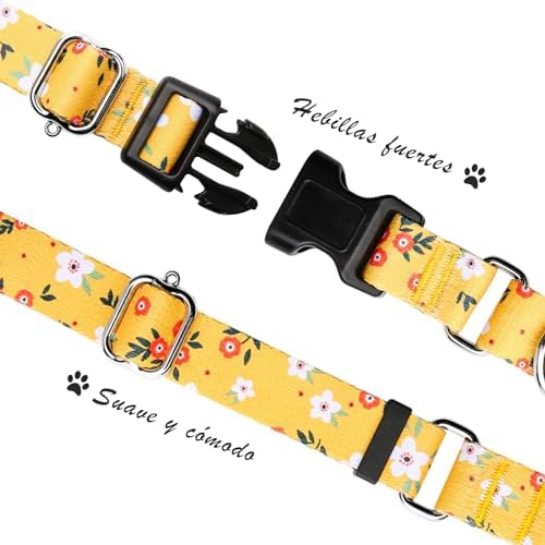 Hikiko Martingale Collar for Dogs with Special Pattern,Adjustable,S
