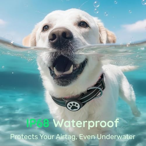 Premium Airtag Dog Collar，with IP68 Waterproof AirTag Holder,Black,XL