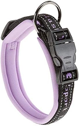 WENKO Dog Collar, Purple, One Size
