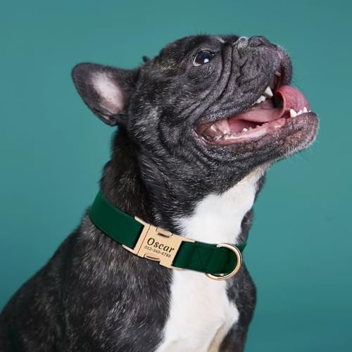 PET ARTIST Personalized Dog Collars, Custom Dog Collar with Engraved Silent Name Tag, Gold Quick Released Buckle & Soft Nylon Padded, Elegant Colors & Matching Leash for Small Dogs,Green,L Fit 16-27"