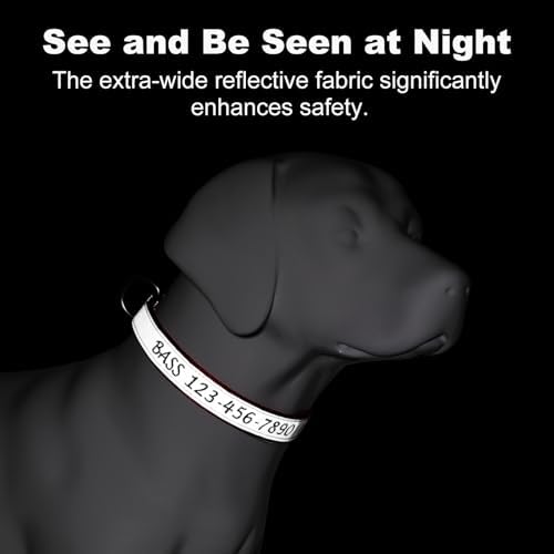 Personalized Dog Collar, Custom Embroidered Name & Phone Number