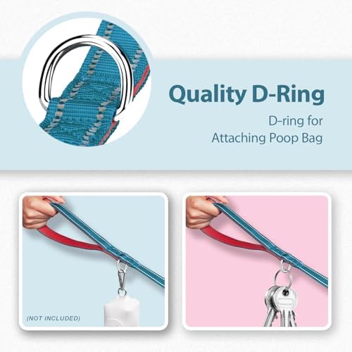 PHOEPET 5 Feet Dog Leash with Comfortable Padded Handle Easy Snap Clasp
