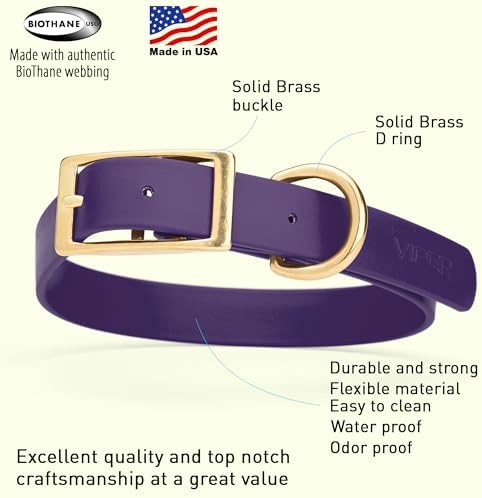 Viper Biothane Heavy Duty Waterproof Dog Collar Strong Coated Nylon Webbing w/Solid Brass Hardware Odor-Proof Easy to Clean High Performance Fits Small Medium or Large Dogs, Violet Purple