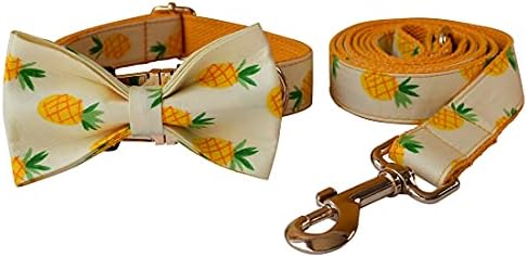 Custom Dog Collar with Names and Phone Number Engraved, Puppy Tags Personalized for Small Medium Large Pets