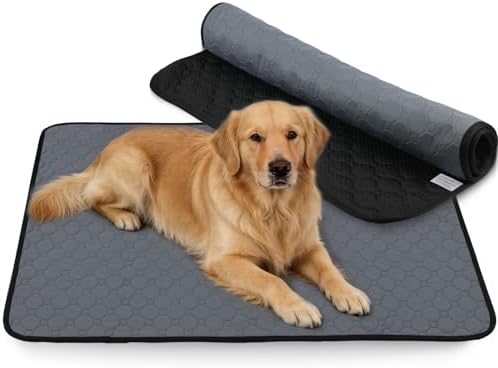 Washable & Reusable Pee Pads for Dogs, 2 Pack, 48 x 48 Inch