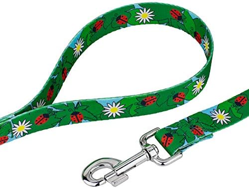 Country Brook Petz - Ladybug Picnic Everyday Dog Leash - Summer Breeze Collection Featuring Sunny Designs (6 Foot, 1/2 Inch Wide)