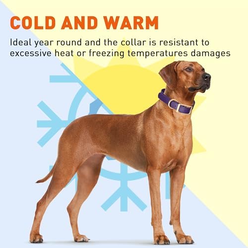 Viper Biothane Heavy Duty Waterproof Dog Collar Strong Coated Nylon Webbing w/Solid Brass Hardware Odor-Proof Easy to Clean High Performance Fits Small Medium or Large Dogs, Violet Purple