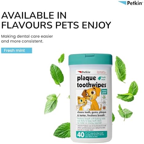 Petkin Cat and Dog Dental Wipes, 80 Wipes (Fresh Mint) - Natural Formula Cleans Teeth, Gums & Freshens Breath - for Daily Use - Convenient Dog Dental Care - 2 Packs of 40 Wipes (80 Wipes Total)