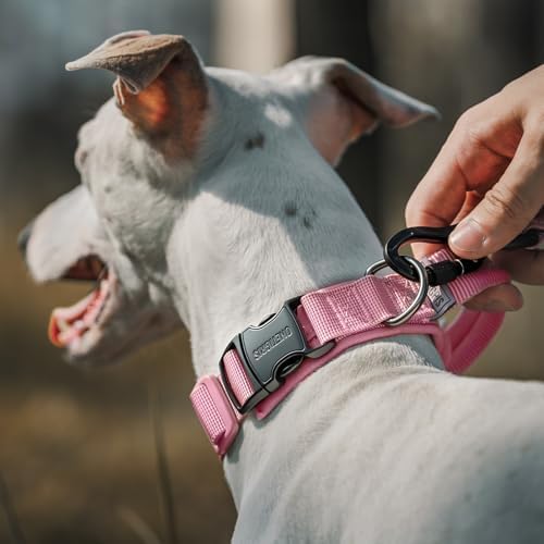OneTigris Tough Tactical Dog Collar for Small Dogs with Handle Pink S