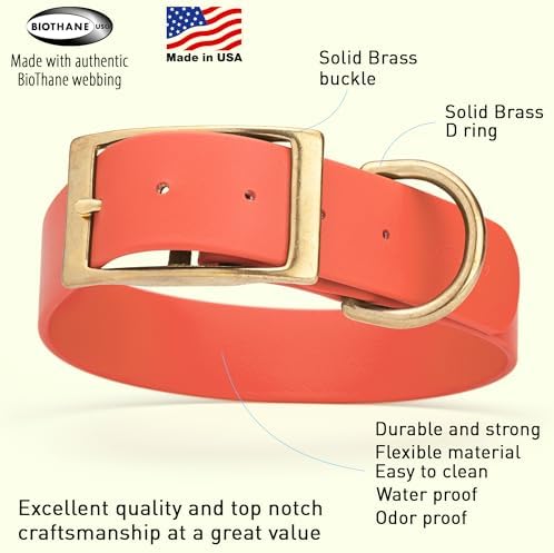 Viper Biothane Heavy Duty Waterproof Dog Collar Strong Coated Nylon Webbing w/Solid Brass Hardware Odor-Proof Easy to Clean High Performance Fits Small Medium or Large Dogs, Coral