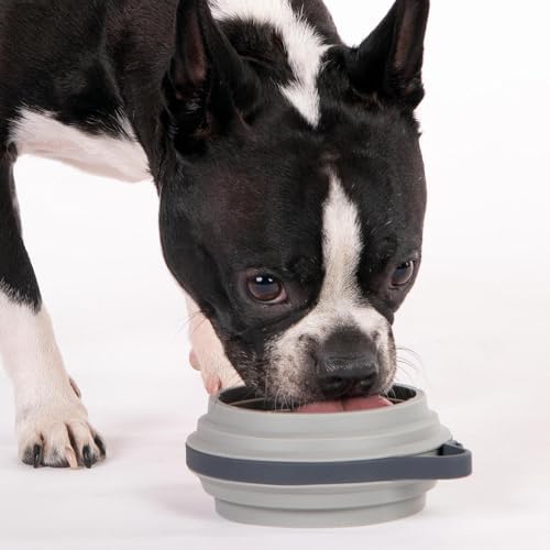 Cleverpup Nomad Small Collapsible Travel Dog Bowl - 2 Cup, Grey