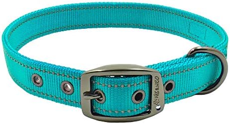 Max and Neo MAX Reflective Metal Buckle Dog Collar - Medium, Teal