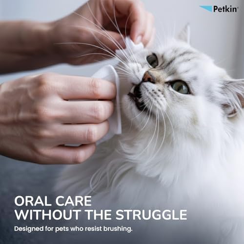 Petkin Cat and Dog Dental Wipes, 80 Wipes (Fresh Mint) - Natural Formula Cleans Teeth, Gums & Freshens Breath - for Daily Use - Convenient Dog Dental Care - 2 Packs of 40 Wipes (80 Wipes Total)