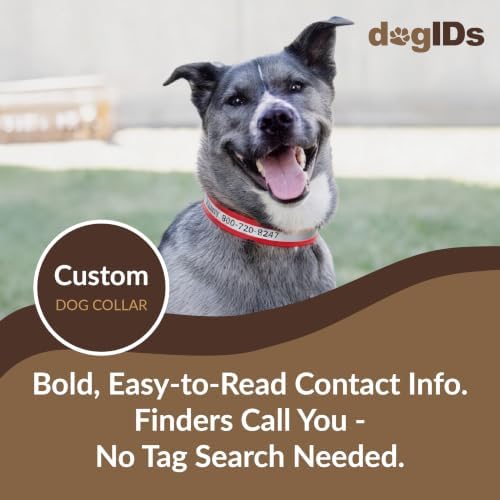 dogIDs Personalized Reflective Waterproof Dog Collar - Custom, Durable, Adjustable, Odor Resistant, Safe, Engraved - Red, 1 in x 14 in (Fits Neck Sizes: 12-16 in)