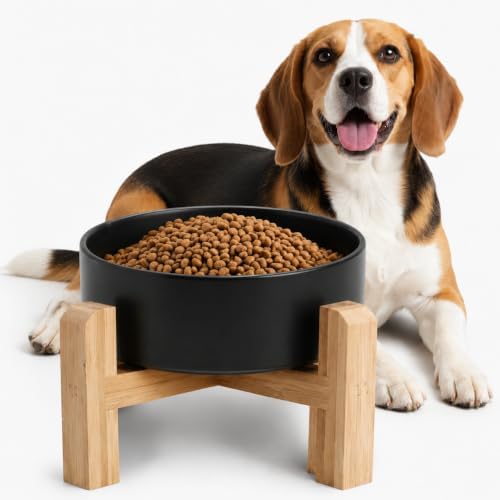 Elevated/Raised Ceramic Dog Bowl with Bamboo Stand,8 inch 7.6 Cups Non-Slip Heavy-Weighted Single Pet Dish, Reduces Neck Strain Black