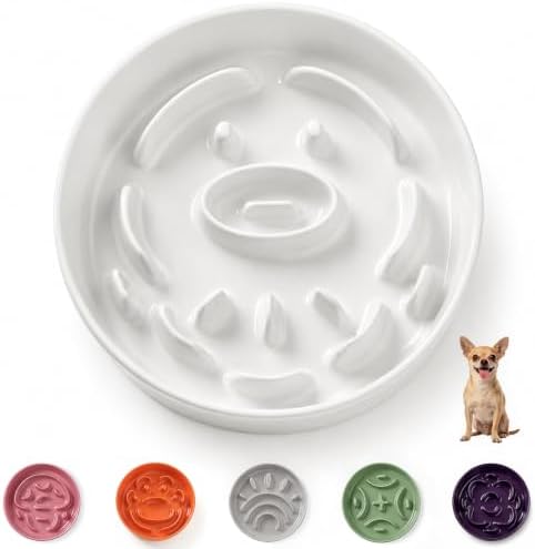 Ceramic Slow Feeder Dog Bowl - Feeding Dish for Fast Eaters - Maze Dog Bowl to Slow Down Eating - Ideal Food Control Dish for Small Breeds - 0.8 Cups (80g) - 6.3 Inch - White