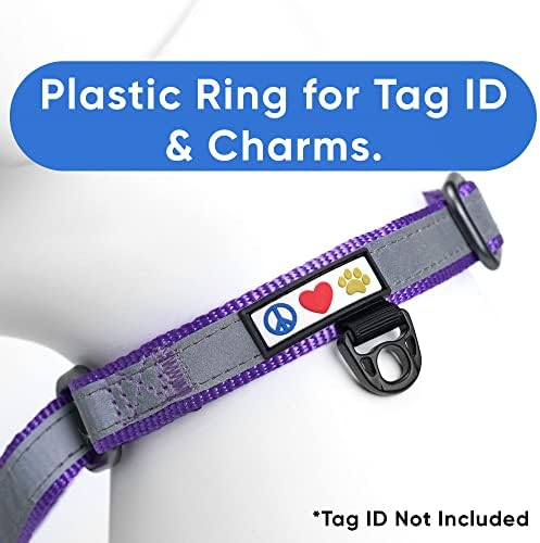 Pawtitas Personalized Dog Collar Martingale Dog Collar with Name Phone Number Reflective Martingale Dog Collar Customized Collar for Small Dogs | Purple Custom Dog Collars for Small Dogs