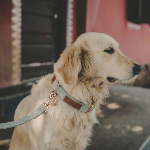 – Luxury 3-Piece Dog Walking Set – Adjustable Collar, 150 cm Leash, Poo Bag Holder – English Tweed & Soft Velvet – Elegant, Comfortable & Practical – 3 Colors