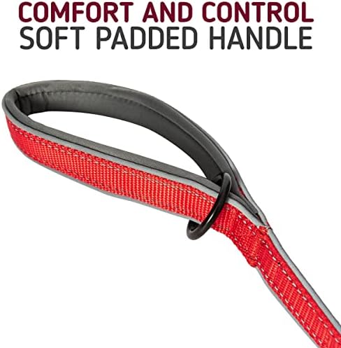 Leashboss 6ft Ultra Comfort Double-Thick Soft Padded Handle Reflective Leash for Large, Medium, and Small Dogs/Puppies | Heavy Duty Nylon