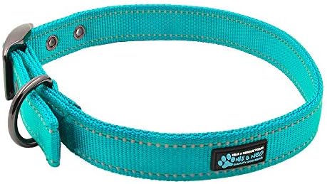 Max and Neo MAX Reflective Metal Buckle Dog Collar - Medium, Teal