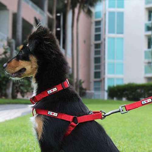Pawtitas Solid Color Black Puppy or Dog Collar, Small
