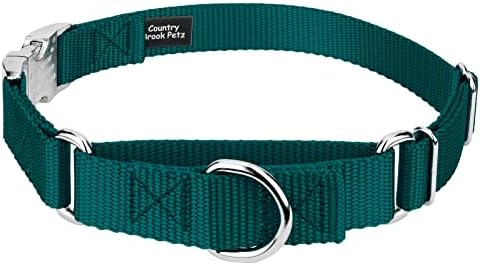 Country Brook Petz - Martingale Dog Collar - Heavy Duty Nylon Adjustable Martingale Dog Collar with Metal Buckle for Small Medium Large Breeds - 30+ Color Options (1 Inch, Extra Large, Teal)