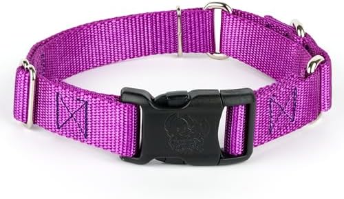 Martingale Dog Collar - Heavy Duty Nylon Adjustable Martingale Dog Collar with Plastic Buckle for Small Medium Large Breeds - 30+ Colors (1 Inch, Medium, Bright Purple)
