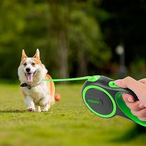 Retractable Extendable Dog Leash, 3, 5 and 8 Metres, Flexible Tape for Training and Walking, with Lock and Brake, Design and Comfortable Grip (8 Metres, Green)