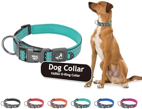 Dog Collar for Large Dogs (Width- 1", Length - 21"-25") | Adjustable Padded Turquoise Dog Collar with Heavy Duty O Ring | Soft Comfortable Fit for Large Dogs | Turquoise, Large