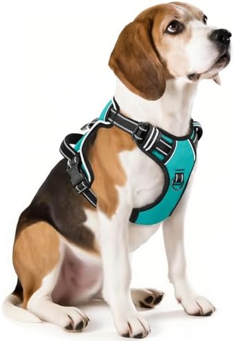 HEELE Dog Harness, No Pull Adjustable Padded Reflective Harness for Small Medium Large Dogs with Handle for Walking Training,Turquoise, M