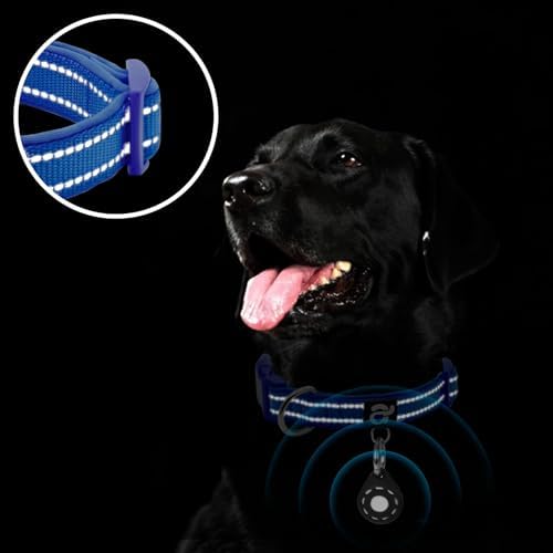 azuza Airtag Dog Collar, Small Dog Collar with Airtag Holder, Royal Blue, S
