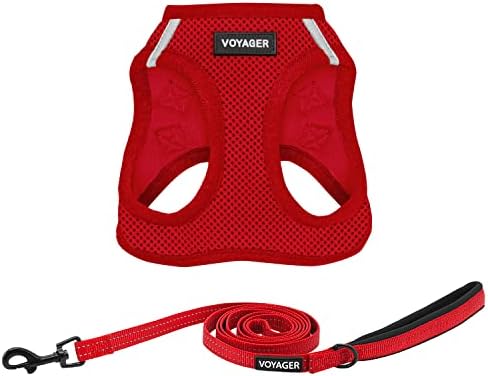 Best Pet Supplies Voyager Step-in Air All Weather Mesh Harness and Reflective Dog 5ft Leash Combo with Neoprene Handle, for Small, Medium and Large Breed Puppies - Red, Small