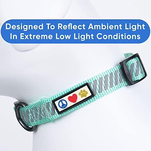 Pawtitas Reflective Dog Collar - Personalized Name & Phone Number, Adjustable for Extra Small & Small Dogs, Teal