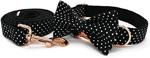 Custom Dog Collar with Names and Phone Number Engraved, Puppy Tags Personalized for Small Medium Large Pets