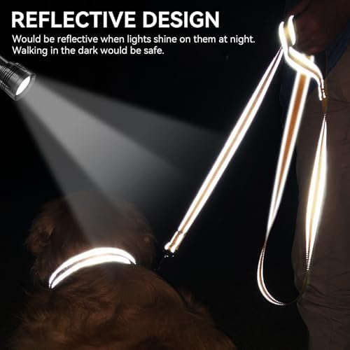 Joytale Reflective Dog Leash for Small Dogs, 5 FT x 3/4", Khaki