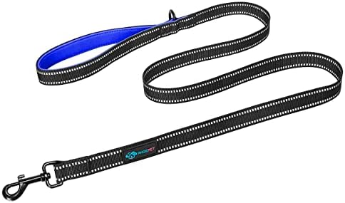 PHOEPET 5 Feet Dog Leash - Dual-Side Reflective - Soft Padded Handle