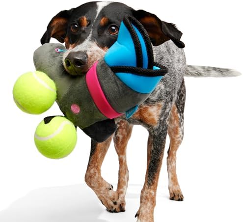 BarkBox Way Rad Rollerblade Dog Toy - for Extra Small to Small Dogs