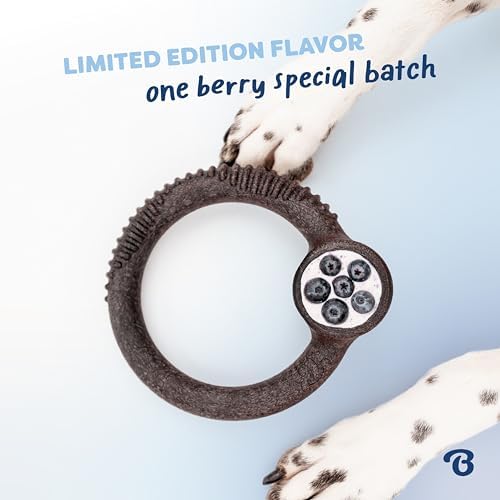 Benebone Ring Dog Chew Toy for Aggressive Chewers, Blueberry, Medium