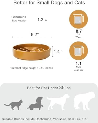 Ceramic Slow Feeder Dog Bowl, Orange, Small