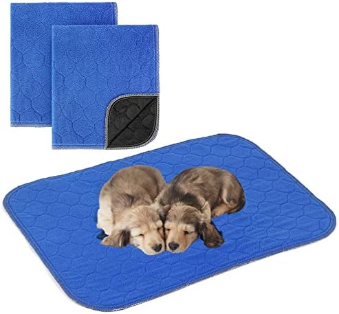 ARGOPET 2 Pack Reusable Puppy Pads for Dogs,24" x 18" Fast Absorbent Leak-Proof Washable Puppy Training Pads Furniture Protector Whelping Mats for Kennel, Creat(Blue)