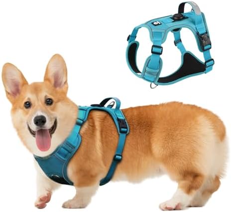 Dog Harness, Upgraded Escape Proof Adjustable Vest Puppy Outdoor Walking, Soft Breathable Jacket with Reflective Strips for Dark Night 559 (Blue, S)