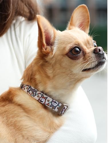 KIKI & RIKI Soft Nylon Dog Collar for Small Dogs, Adjustable, Quick-Release Buckle, Size S (Neck 9.4-14.6"), Beige Artist-Designed Print